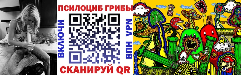Псилоцибиновые грибы Psilocybine cubensis Электросталь